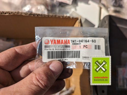 PXL_20240528_153500207